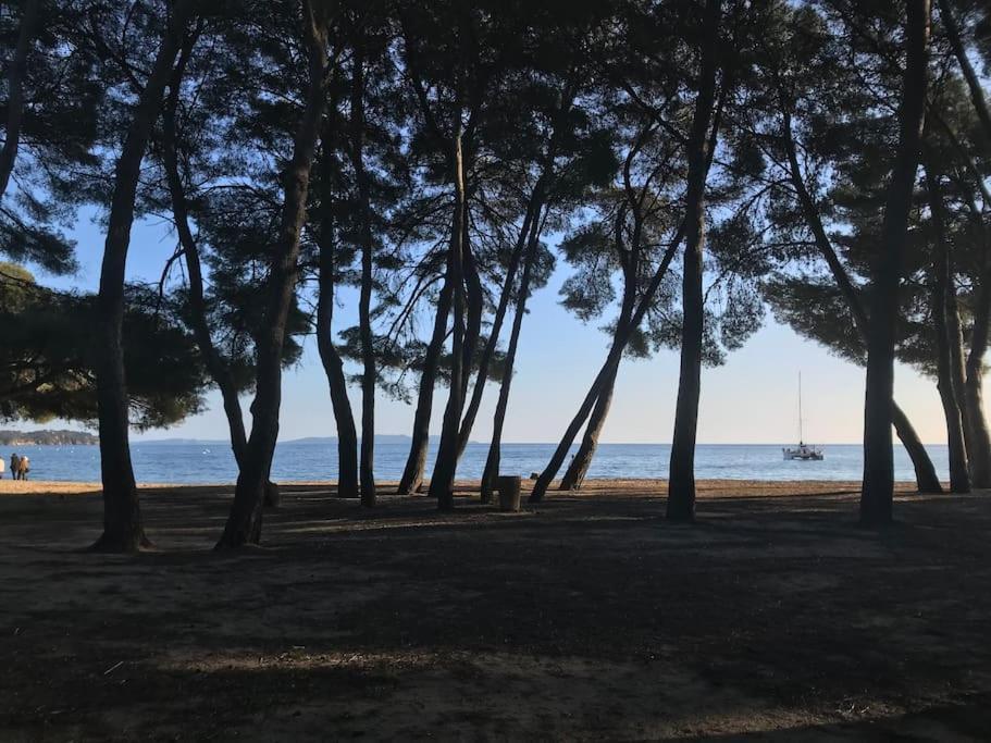Appartement Plage Piscine Et Tennis Inclus La Londe-les-Maures Exteriér fotografie