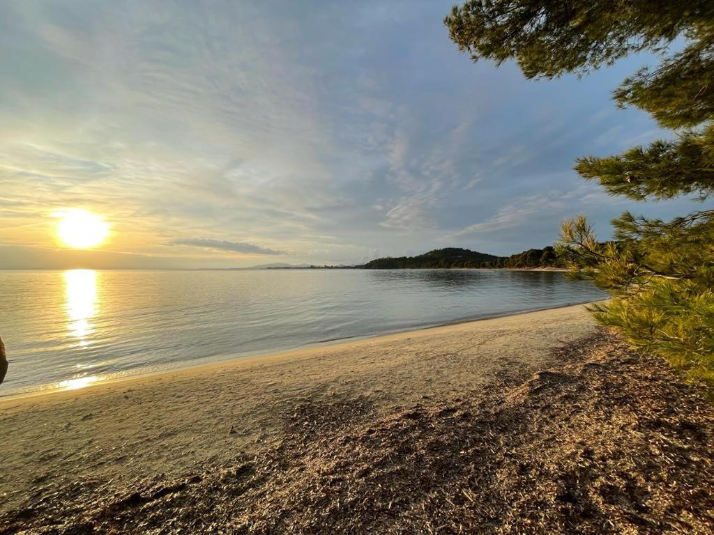 Appartement Plage Piscine Et Tennis Inclus La Londe-les-Maures Exteriér fotografie
