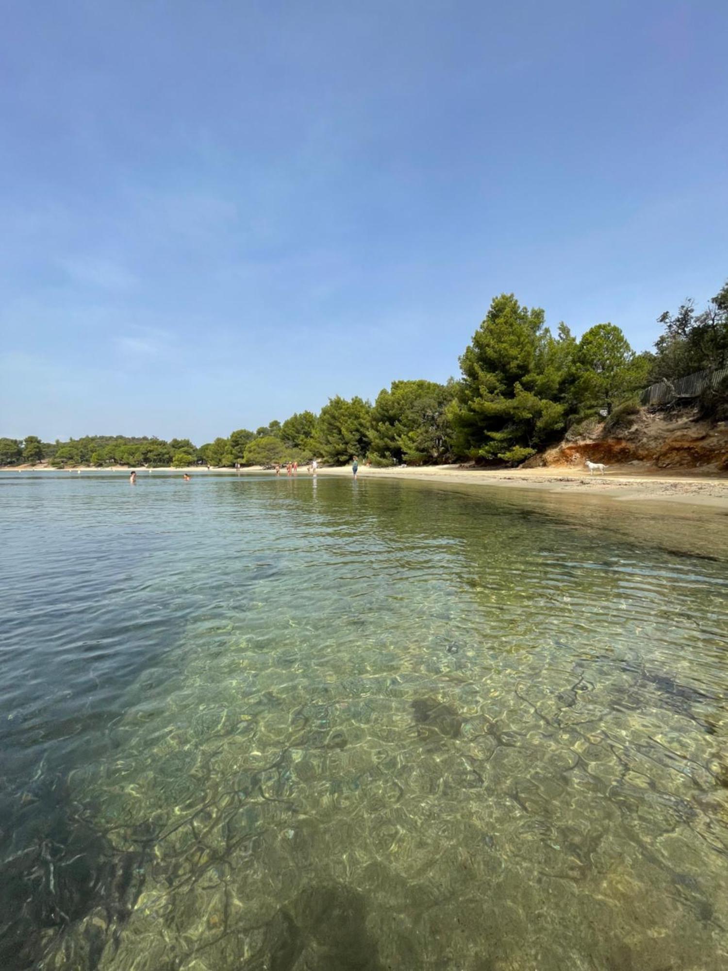 Appartement Plage Piscine Et Tennis Inclus La Londe-les-Maures Exteriér fotografie