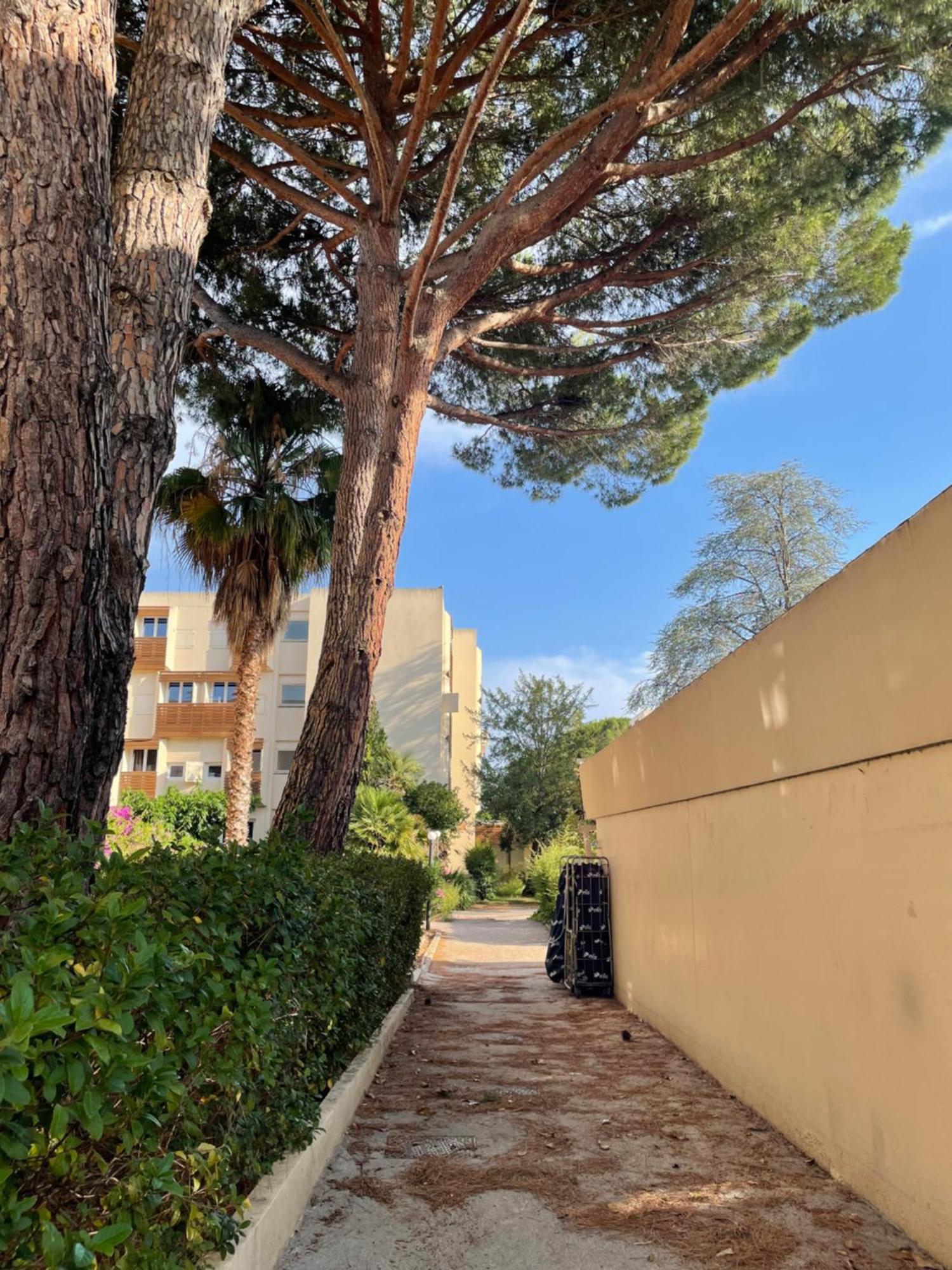 Appartement Plage Piscine Et Tennis Inclus La Londe-les-Maures Exteriér fotografie